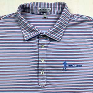 Peter Millar Dunnes Performance Jersey Polo Mens XXL Payne's Valley Golf Golfing